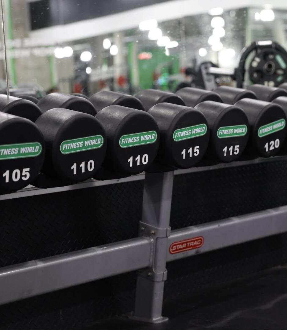 Dumbbells up to 120LBS at Fitness World